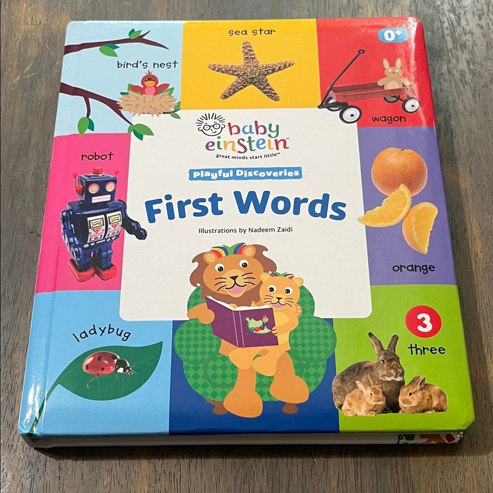 BABY EINSTEIN First Words Book BOARD BOOKS SET PUFFY COVER LARGE LEARNING #63